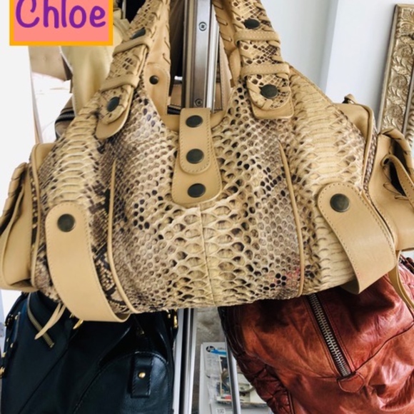 Meet your Posher, Hadria - Picture 3 of 8